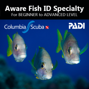 Fish ID Specialty